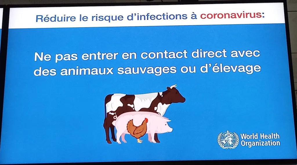 Écran de l'OMS à l'aéroport de Ouagadougou déconseillant tout contact avec des animaux
