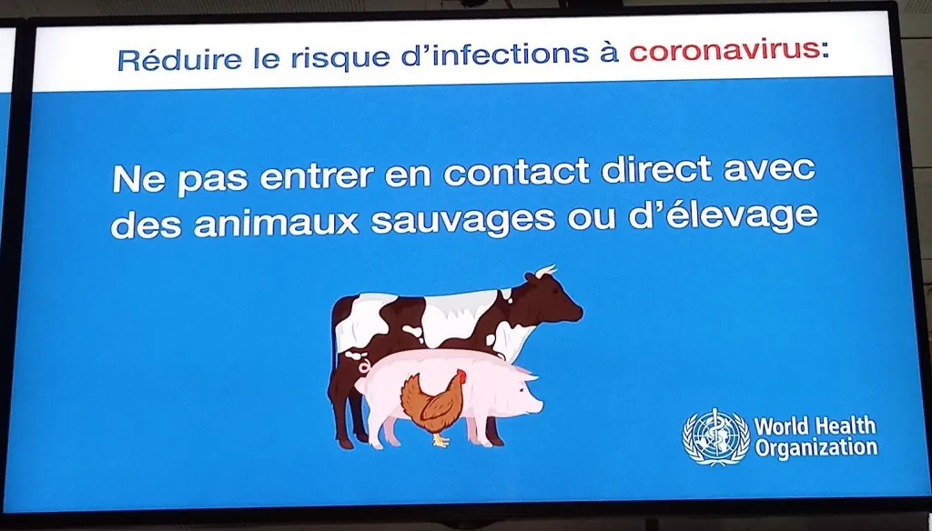 Écran de l'OMS à l'aéroport de Ouagadougou sur le risque coronavirus lié aux animaux